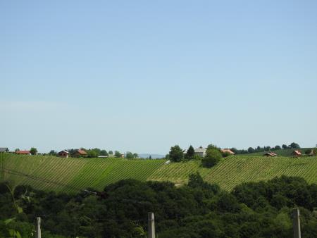 12. pohod Pomlad v prleških goricah Dan odprtih kleti in veselih ljudi, 28.5.2016 44